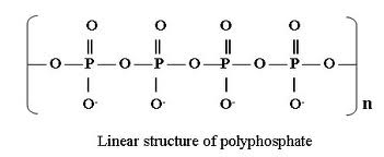 long_chain_po4