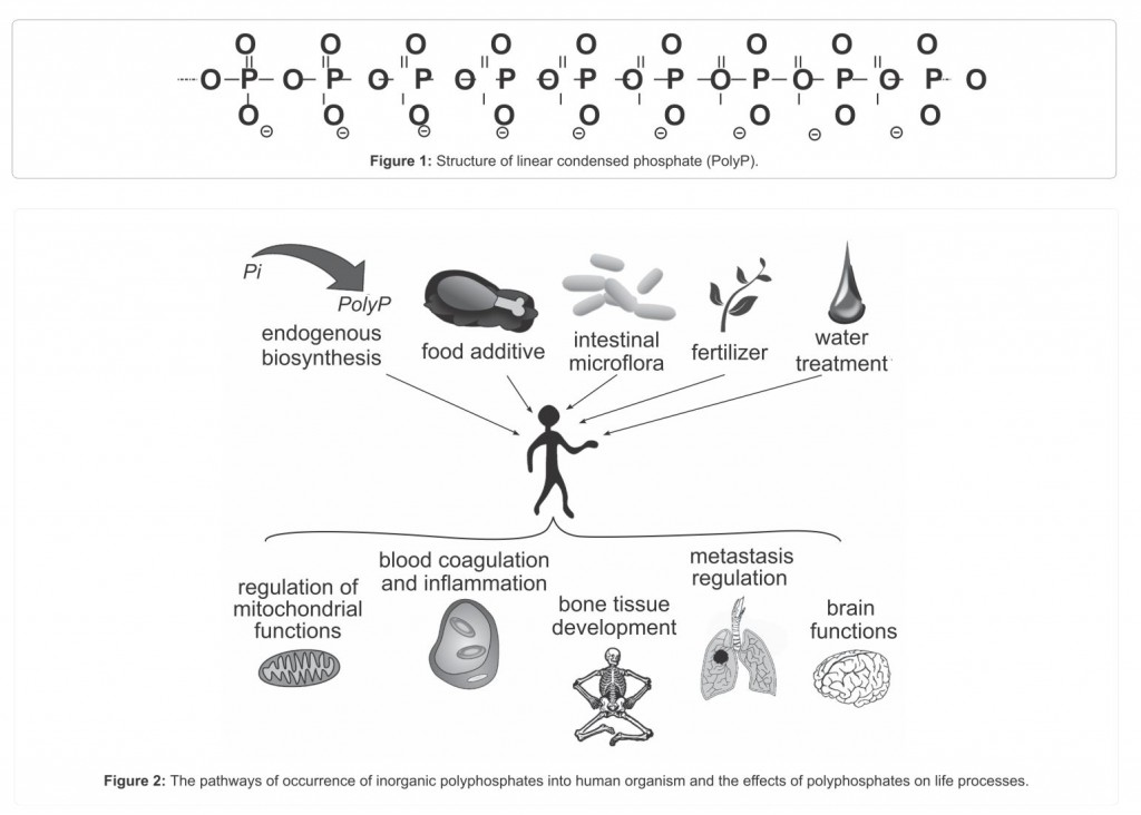 Polyphosphate diagram